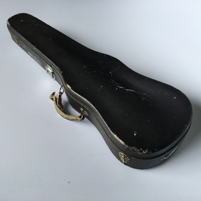 INSTRUMENT CASE, Violin - Black